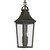 Cleary Two Light Outdoor Pendant (59198OZ)