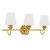 Dorothea Three Light Vanity (DOT8624GFL)