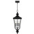 Farley Three Light Outdoor Hanging Lantern (FARL1910MBK)