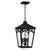 Quoizel - JAX1910WT - Four Light Outdoor Hanging Lantern - Jaxon - Western Bronze
