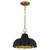 Leanne One Light Pendant (LEA1812MBK)