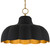 Leanne Four Light Pendant (LEA2820MBK)