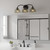 Whitecap Three Light Vanity (WHP8623MC)
