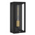 Young One Light Outdoor Wall Lantern (YOUN8406MBK)