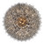 Addis 40 Light Chandelier (ADD-329-AG-SM)