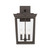 Belmont Three Light Outdoor Wall Sconce (BEL-A8063-TZ)