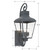 Dumont Three Light Outdoor Wall Sconce (DUM-9803-GE)