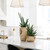 Fulton Three Light Pendant (FUL-904-GA)