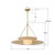 Juniper One Light Chandelier (JNP-10543-SG)