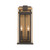 Lendel Two Light Outdoor Wall Sconce (LDL-902-TZ-TG)