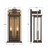 Lendel Two Light Outdoor Wall Sconce (LDL-902-TZ-TG)