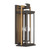 Lendel Four Light Outdoor Wall Sconce (LDL-904-TZ-TG)