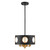 Odelle Four Light Pendant (ODE-700-BK-GA)