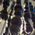 Poppy Six Light Chandelier (POP-A5076-MK)