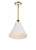 Xavier One Light Pendant (XAV-B8301-VG)