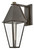 Endsley LED Wall Mount Lantern (28869BLB)