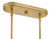 Indra LED Linear Pendant (48605LCB)