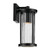 Barras One Light Outdoor Wall Mount (59022BKDS)
