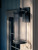 Barras One Light Outdoor Wall Mount (59024BKDS)