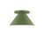 manufacturer_finish:Fern Green|manufacturer_glass:8 inch Pinnacle|light_source:LED|light_output:800.00lm|color_temperature:3000K|cri:90