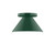 manufacturer_finish:Forest Green|manufacturer_glass:8 inch Pinnacle|light_source:LED|light_output:800.00lm|color_temperature:3000K|cri:90