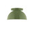 manufacturer_finish:Fern Green|manufacturer_glass:6 inch White Opal Glass Globe|light_source:Incandescent or LED equivalent|light_output:Unspecified|color_temperature:Unspecified|cri:Unspecified
