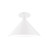 manufacturer_finish:White|manufacturer_glass:12 inch Chase|light_source:Incandescent or LED equivalent|light_output:Unspecified|color_temperature:Unspecified|cri:Unspecified