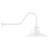 manufacturer_finish:White|manufacturer_glass:Frosted Glass with Cast Guard|light_source:Incandescent or LED equivalent|light_output:Unspecified|color_temperature:Unspecified|cri:Unspecified