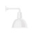 manufacturer_finish:White|manufacturer_glass:12 inch Deep Bowl|light_source:LED|light_output:800.00lm|color_temperature:3000K|cri:90