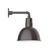manufacturer_finish:Architectural Bronze|manufacturer_glass:Clear Glass with Cast Guard|light_source:Incandescent or LED equivalent|light_output:Unspecified|color_temperature:Unspecified|cri:Unspecified