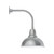 manufacturer_finish:Painted Galvanized|manufacturer_glass:14 inch Cafe|light_source:LED|light_output:1200.00lm|color_temperature:3000K|cri:90