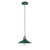 manufacturer_finish:Forest Green w/Brushed Nickel