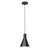 manufacturer_finish:Black|manufacturer_glass:8 inch Jerome|light_source:Incandescent or LED equivalent|light_output:Unspecified|color_temperature:Unspecified|cri:Unspecified
