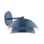 manufacturer_finish:Navy|manufacturer_glass:10 inch Nest|light_source:Incandescent or LED equivalent|light_output:Unspecified|color_temperature:Unspecified|cri:Unspecified