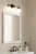 Ortesa Three Light Vanity (12013-899)