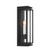 Stratford Two Light Outdoor Wall Sconce (78602-899)