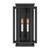 Stratford Two Light Outdoor Wall Sconce (78603-899)