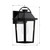 Branwyn One Light Outdoor Wall Lantern (79102-66)