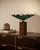 manufacturer_finish:Pine Green