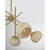 Jasper Five Light Chandelier (1-2968-5-322)