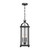 Preston Three Light Outdoor Hanging Lantern (5-110-337)