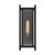 Jacobs One Light Outdoor Wall Lantern (5-3804-BK)