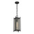 Jacobs One Light Outdoor Hanging Lantern (5-3806-BK)