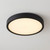 LED Flush Mount (6-3333-15-BK)