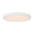 LED Flush Mount (6-3333-15-WH)