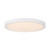 LED Flush Mount (6-3333-15-WH)