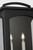 Modesto Two Light Wall Lantern (CO1572TXB)