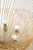 Dorelle Eight Light Chandelier (LXC1218GD)