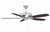 Mystique 52" Ceiling Fan (M2017BNRV)