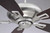 Mystique 52" Ceiling Fan (M2017BNRV)